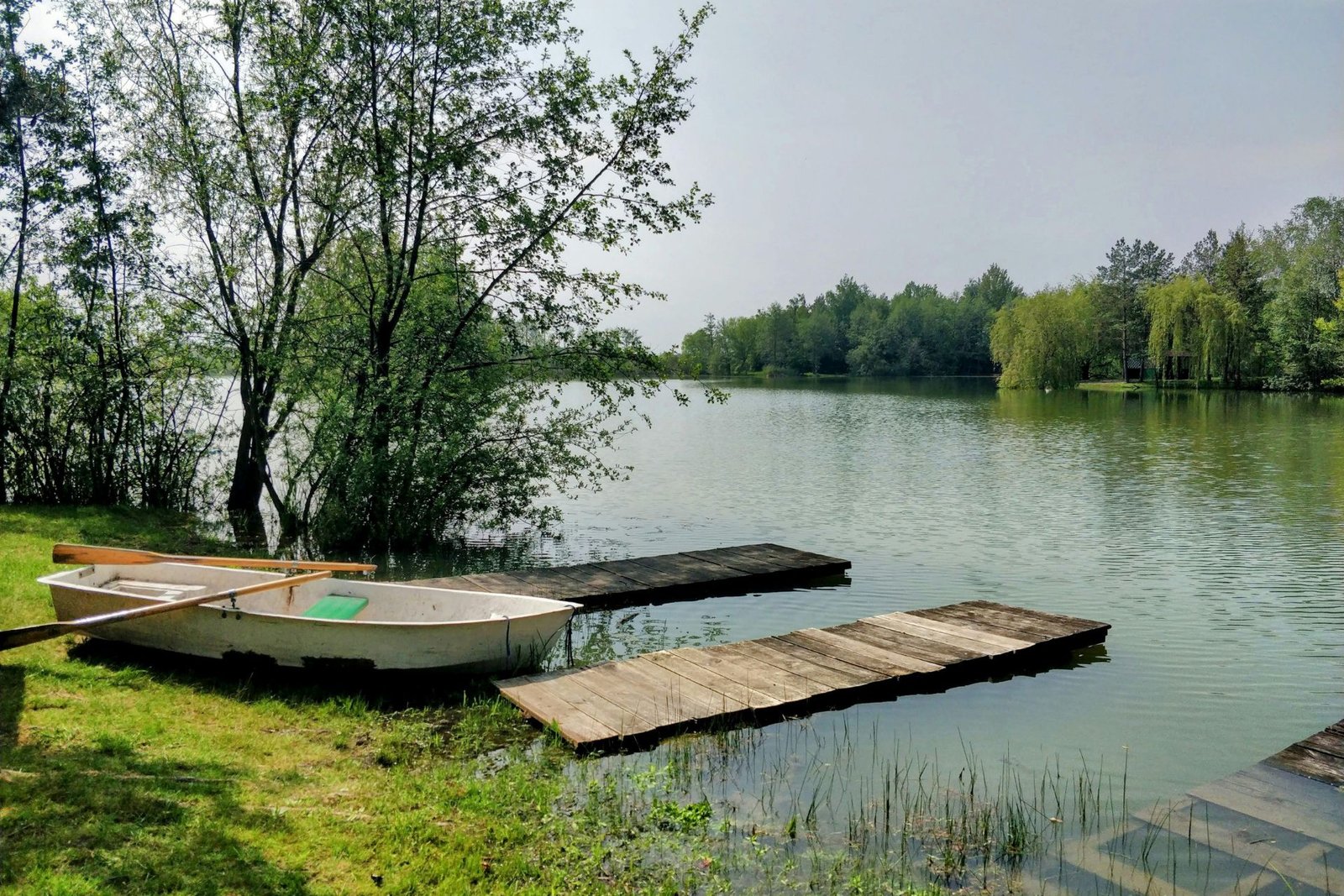 Mosquito control service in Boulder Junction Wisconsin near dense pine forest and lake shoreline