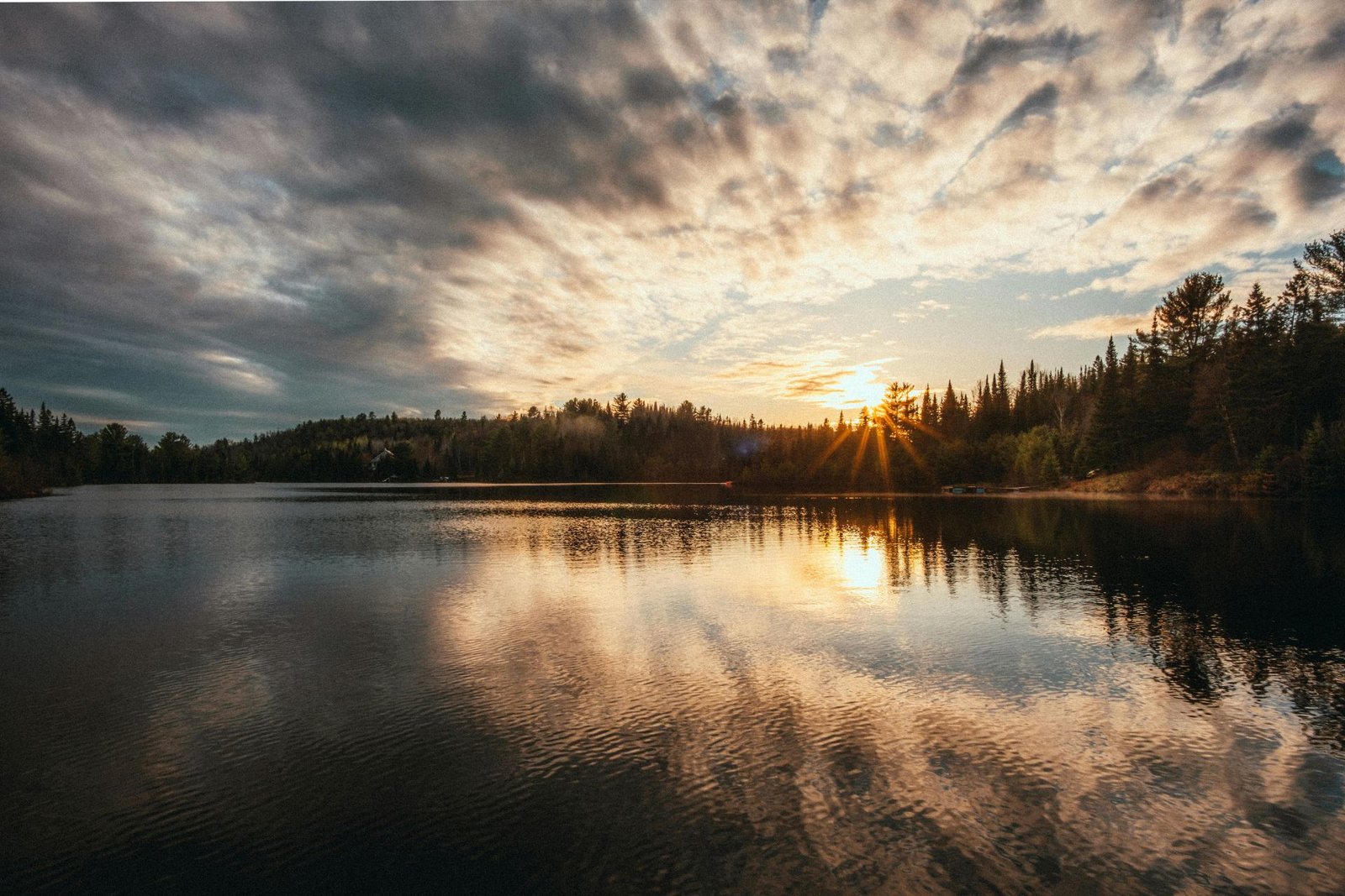 Mosquito control service in Land O Lakes Wisconsin near wooded lakefront property