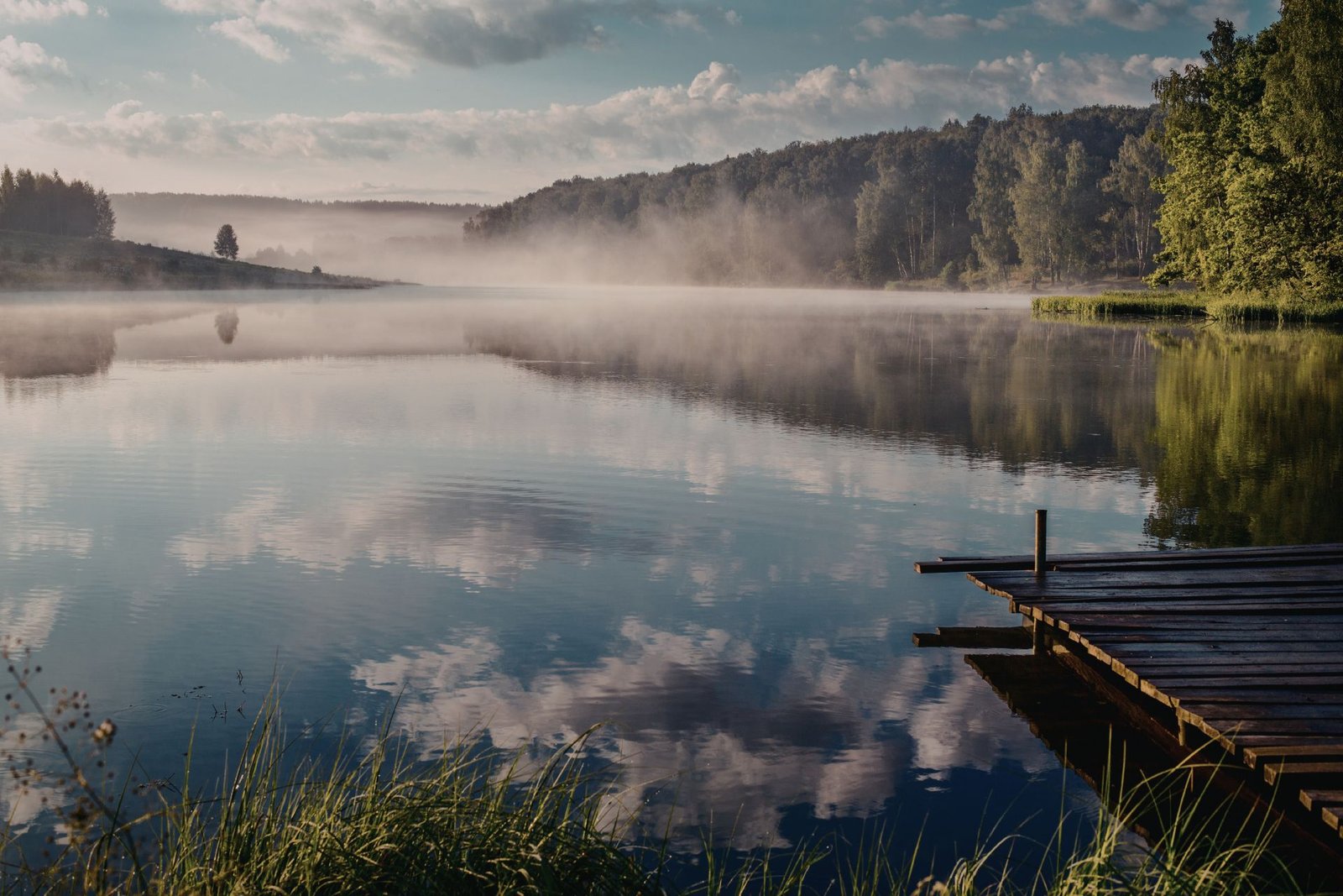Mosquito control service in Presque Isle Wisconsin near wooded lakefront property