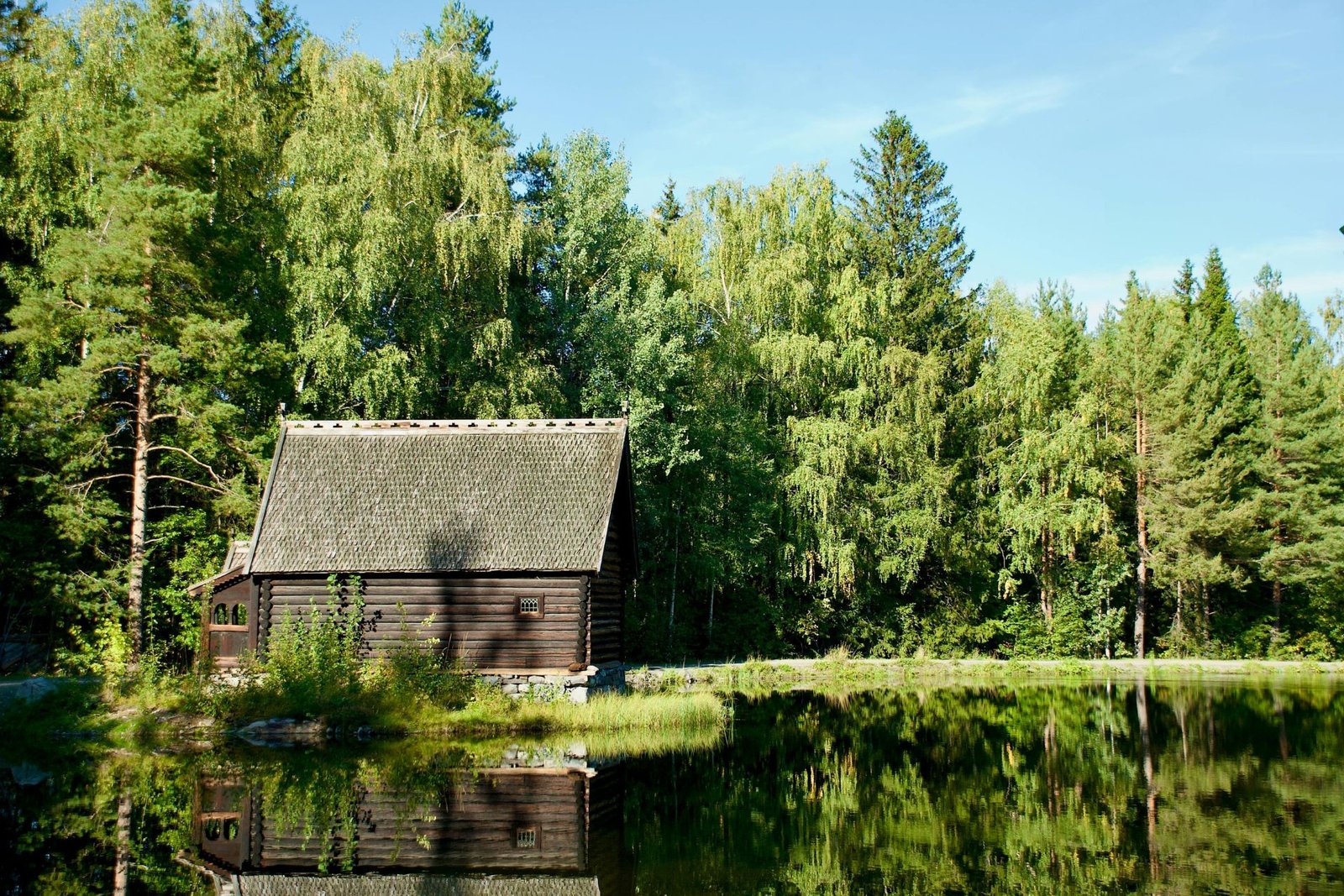 Mosquito control service in Sayner Wisconsin near wooded lakefront property