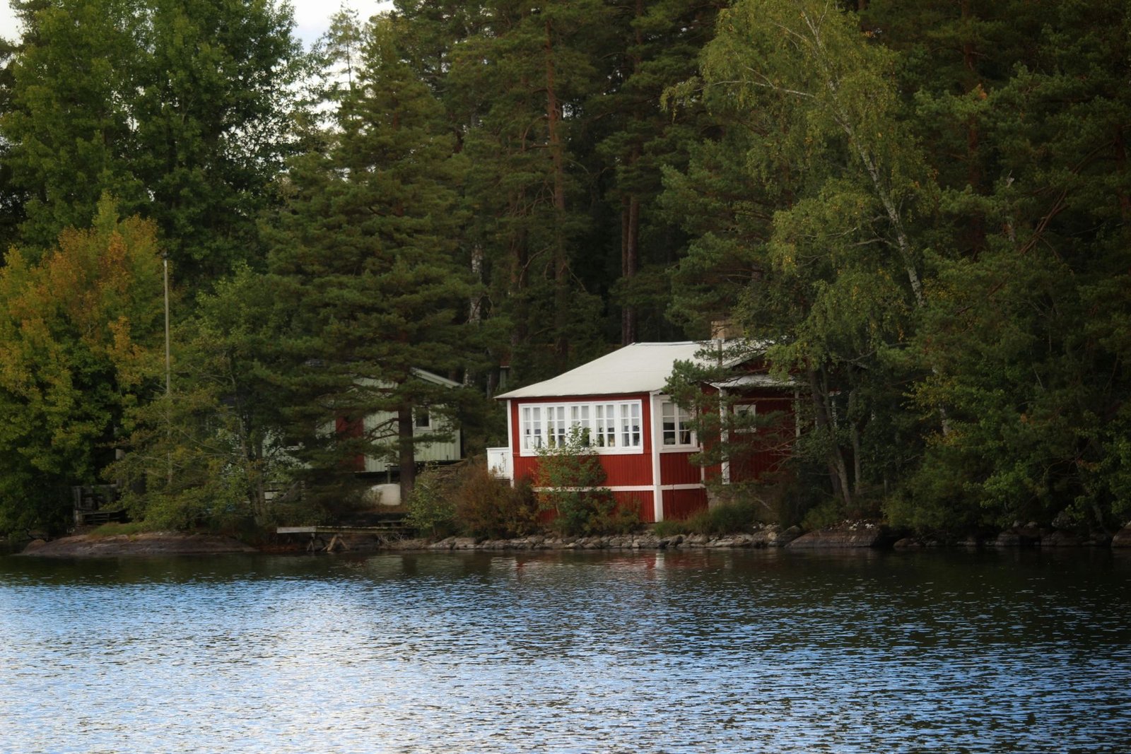 Mosquito control service in St Germain Wisconsin near lakefront cabin and wooded shoreline