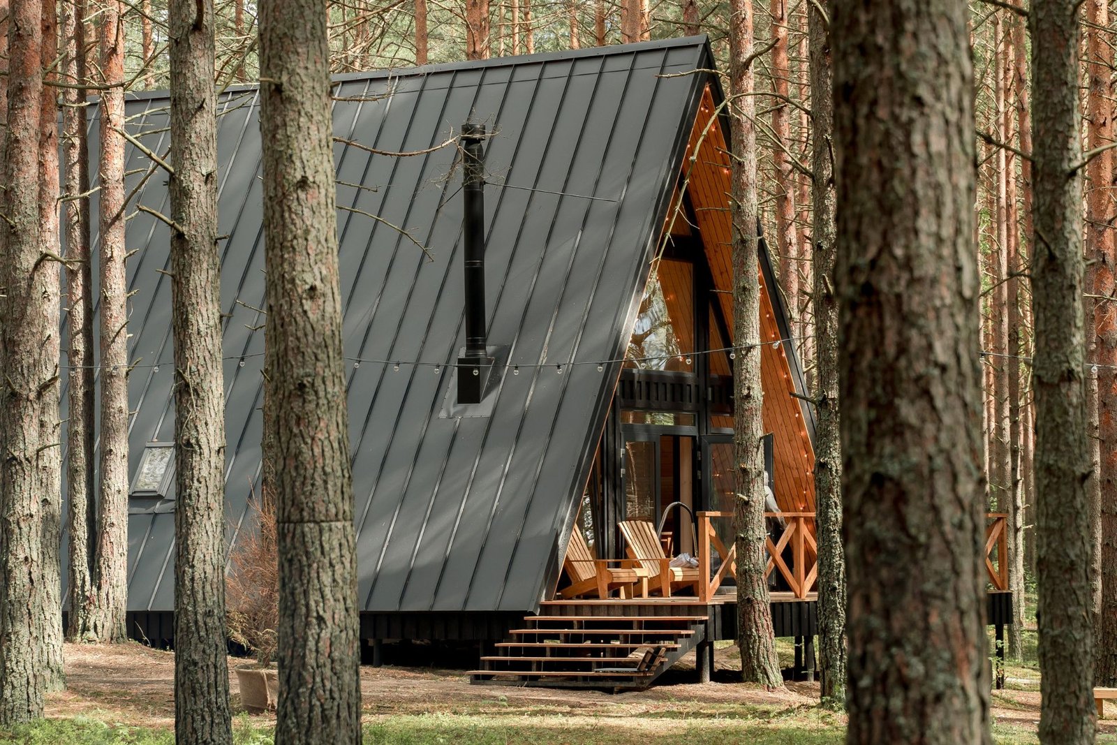 Mosquito control service in Winchester Wisconsin near lakefront dock and pine forest